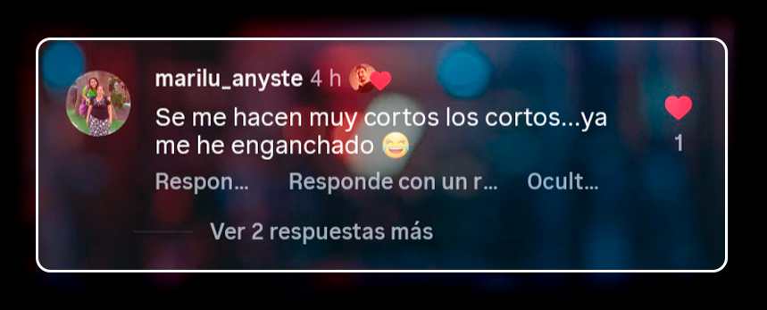 Comentario 4